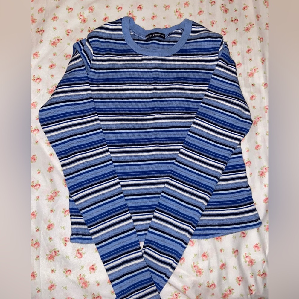 Brandy Melville striped blue top